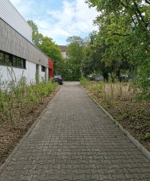 Tiny Forest Lgs
